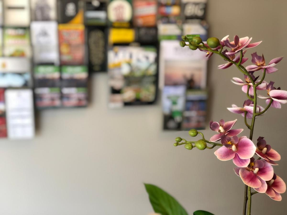Arena Lodge Palmerston North Ngoại thất bức ảnh